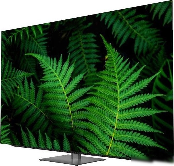 OLED телевизор Витязь 55LU1250