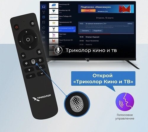 Телевизор Триколор P24HH302
