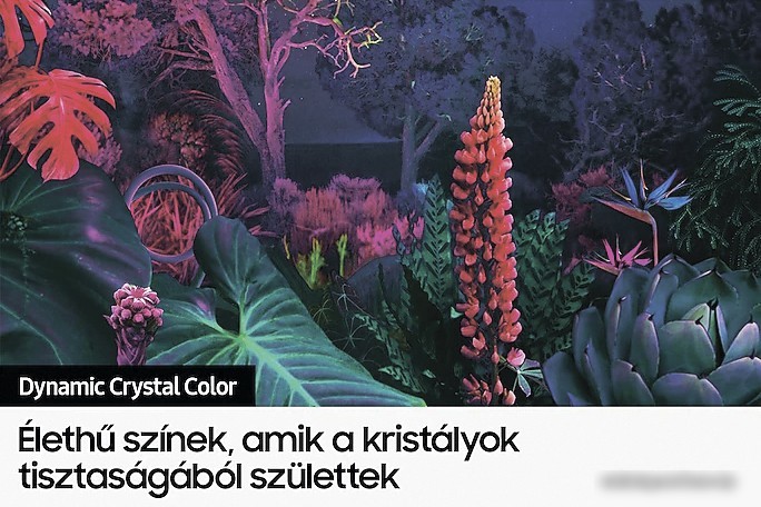 Телевизор Samsung Crystal UHD BU8002 UE55BU8002K