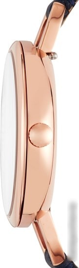 Наручные часы Fossil Annette ES4355