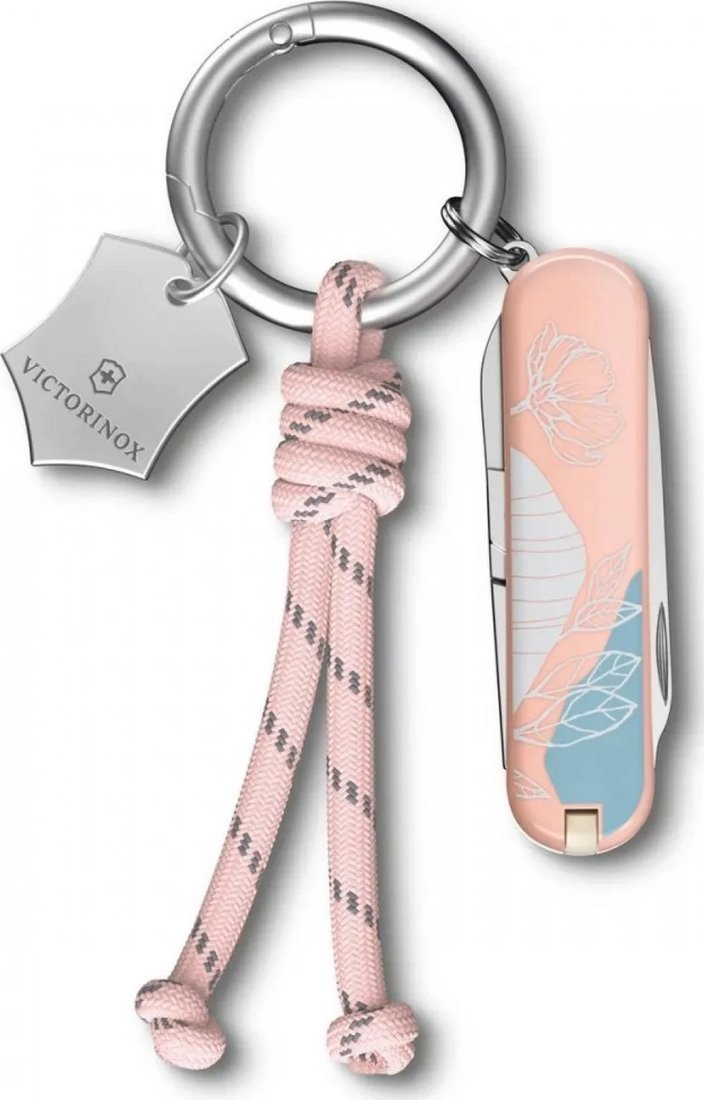 Мультитул Victorinox Classic SD Paris Style 0.6223.E221