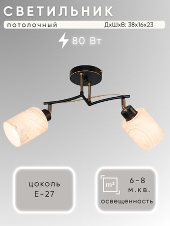 Спот Aitin Pro НПБ 02-2x40-101 51171/2 (черный)
