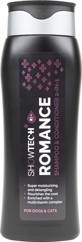 Шампунь Show Tech + Romance 2-in-1 41STP001 (300 мл)