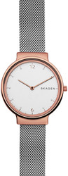 Наручные часы Skagen SKW2616