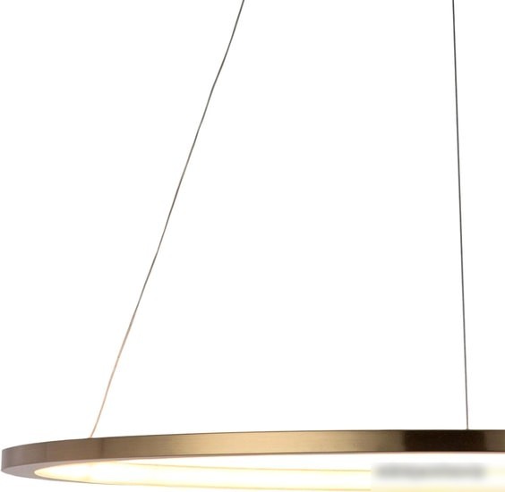 Подвесная люстра LOFT IT Ring 10014L
