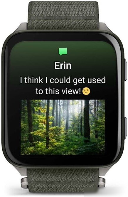 Умные часы Garmin Venu X1 (титановый/зеленый)