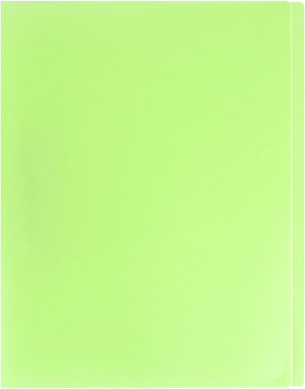 Папка для бумаг Darvish Ice DV-1772IE-LG (салатовый)