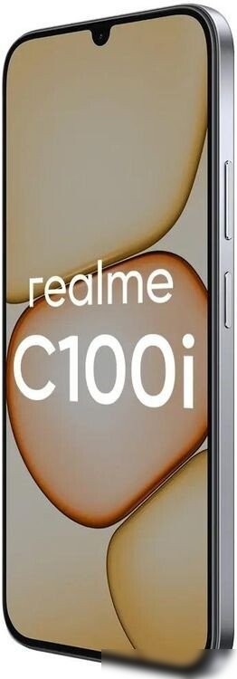 Телефон Realme C100i RMX5377 4GB/128GB азиатская версия (серебристый)
