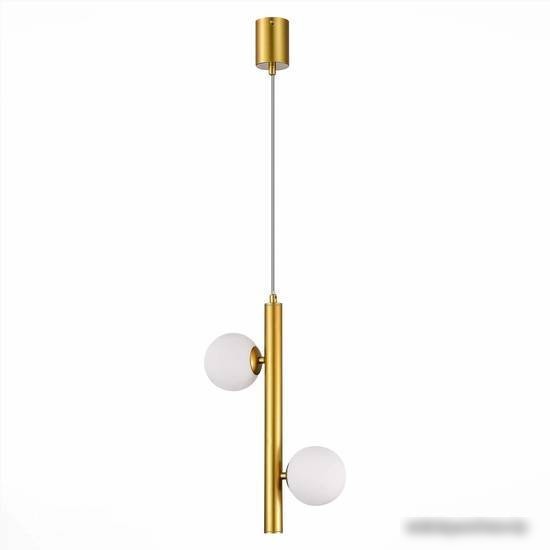 Точечный светильник ST Luce SL1185.203.02