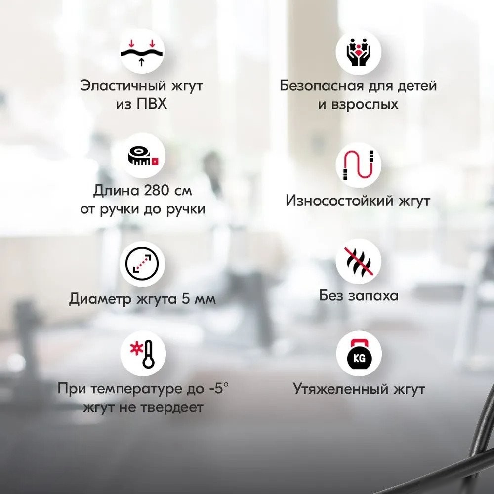 Скакалка Profitnesslab 2.8 м (черный/черный)