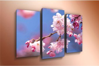 Модульная картина Arthata m-000495 120x80