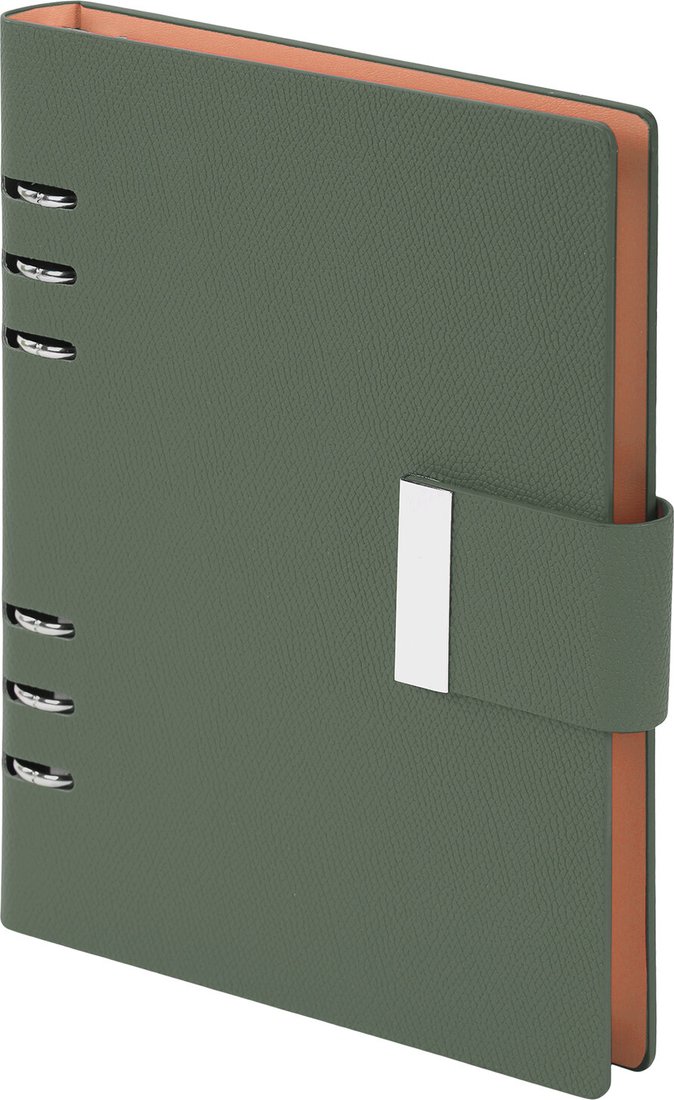Ежедневник BRAUBERG Lux 116858 (100л, зеленый)
