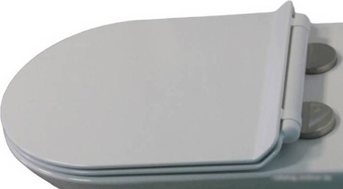 Сиденье для унитаза Cerutti Spa Bernina CT7586