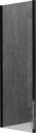 Душевая стенка Allen Brau Priority 3.31048.BBA 99x200 294077 (черный браш)
