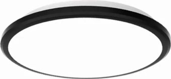 Припотолочная люстра Alfaled JK-R 28W 4000K (черный)