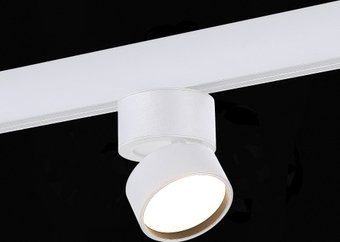 Трековый светильник ST Luce SKYLine 48 ST809.536.09