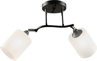 Припотолочная люстра Aitin Pro НПБ 02-2x60-101 K2316/2 (черный/хром)