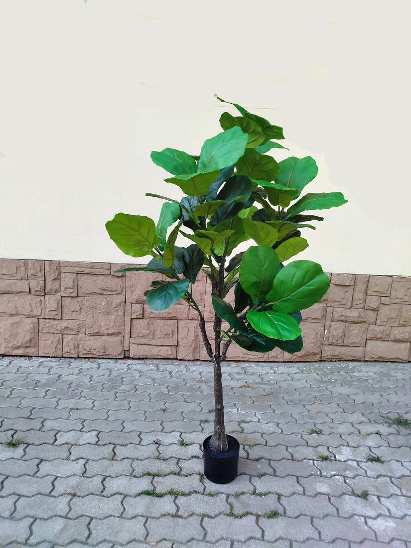 Искусственное растение Forgarden Ficus Fiddle BN11273