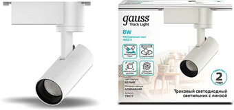 Трековый светильник Gauss TR077