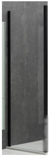 Душевая стенка Allen Brau Priority 3.31048.BBA 99x200 294077 (черный браш)