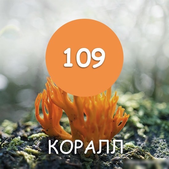 Краска Super Decor Maxima 2.5 кг (№109 коралл)
