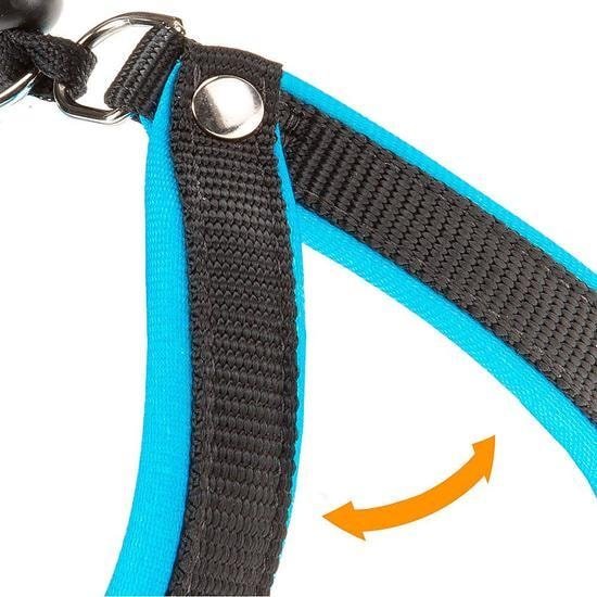 Шлея Ferplast Agila Fluo 3 75449325 (синий)