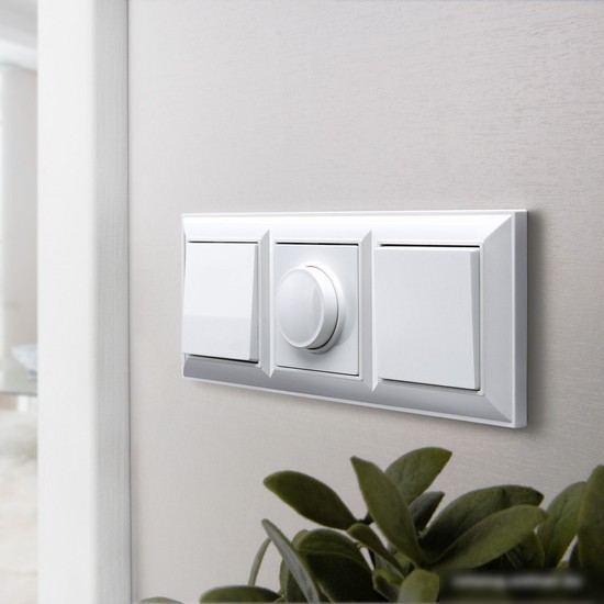 Рамка Werkel W0032201 a051020