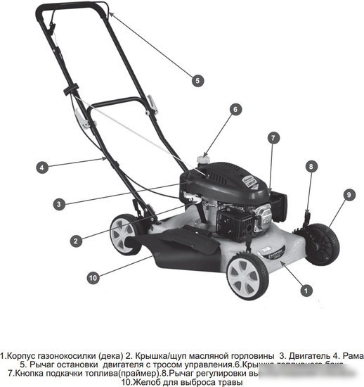 Колёсная газонокосилка Champion LM5127