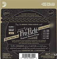 Струны для гитары D'Addario EJ-25C
