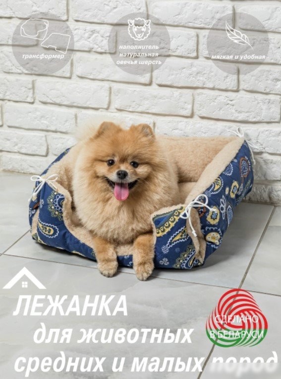 Лежак Lanatex 170 22216 (38x36x15, синий/бежевый)