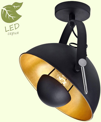 Припотолочная люстра Lussole Loft Sherrelwood GRLSP-9825