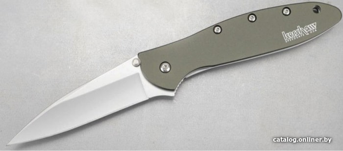 Складной нож Kershaw 1660OL Leek