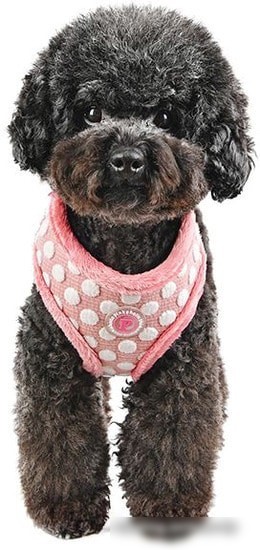 Шлейка Pinkaholic Joceline NARD-HA7363-IP-S (розовый)
