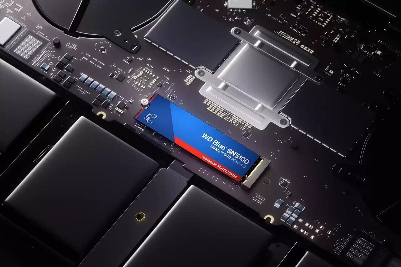 SSD WD Blue SN5100 500GB WDS500G5B0E