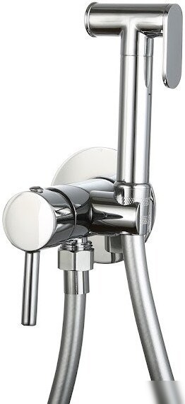 Гигиенический душ Roxen Santi 50094000-CH