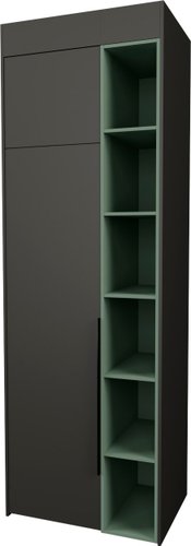 Шкаф распашной Рэйгрупп Рэй S257-B1-WKZ В1 (дуб веллингтон/кобальт/зеленый самшит)