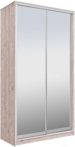 Шкаф-купе Рэйгрупп 158450 SSX Elgon РГ-10.04 (сосна натуральная/хром)