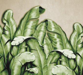 Фотообои Vimala Банановые листья зеленые 270x300