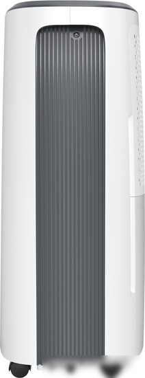 Осушитель воздуха Royal Clima Carisma Loft RD-CR20-E