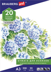 Набор бумаги для рисования BRAUBERG Art Classic 129224 (20 л)