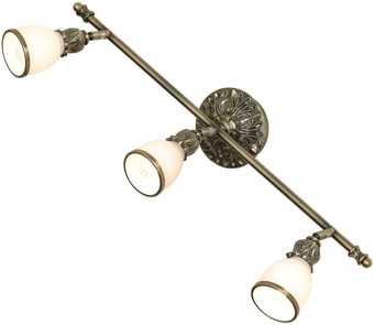 Спот Lussole Loft GRLSL-7301-03
