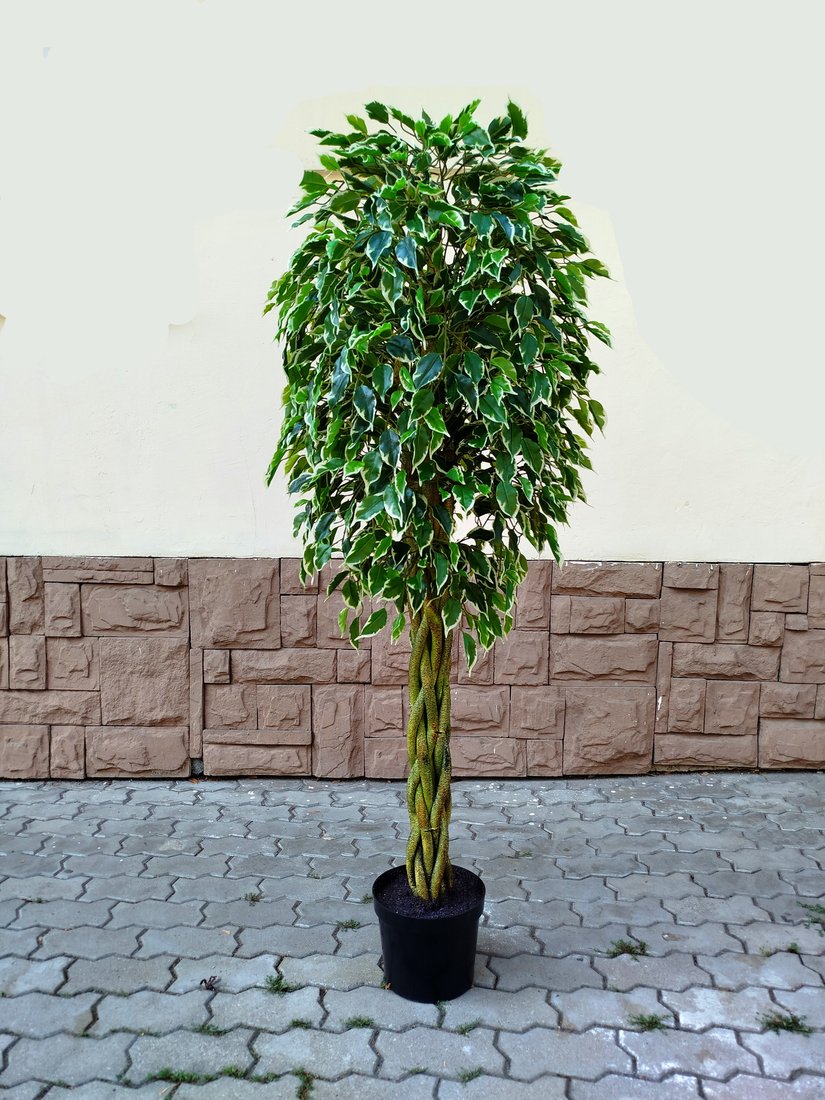 Искусственное растение Forgarden Ficus Woven Trunk BN11275