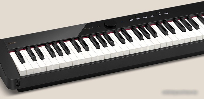 Цифровое пианино Casio PX-S1100 (черный)