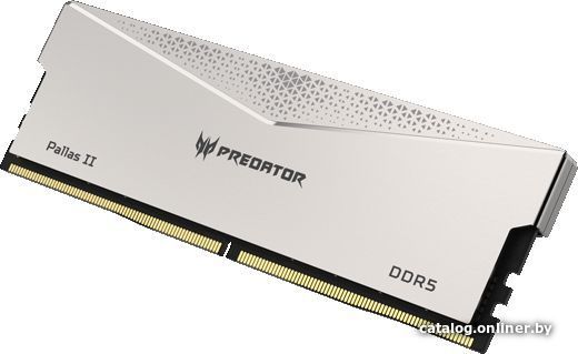 Оперативная память Acer Predator Pallas II 2x32ГБ DDR5 6000 МГц BL.9BWWR.352