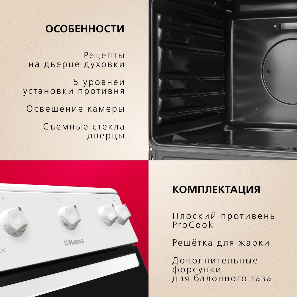 Кухонная плита Hansa FCGW510009H