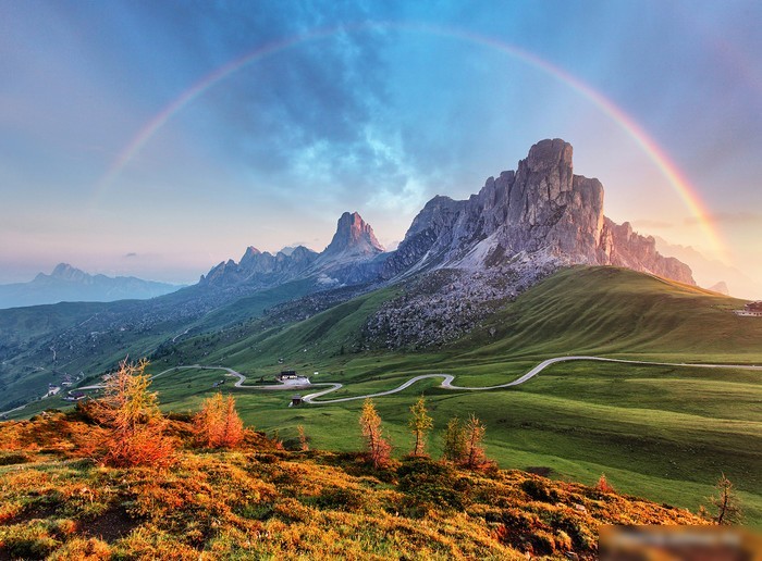 Картина Vimala 134 50x70 см