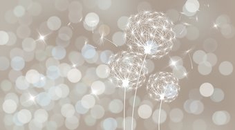 Фотообои Vimala 3D Одуванчики бежевые 270x400