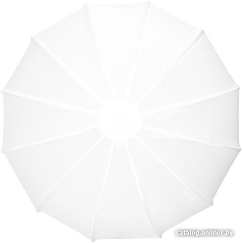 Софтбокс Zhiyun C000602G1 65D на Bowens