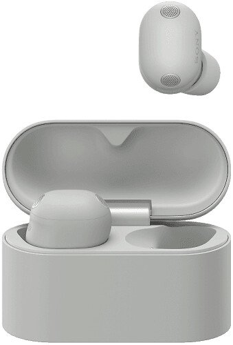 Наушники Sony WF-1000XM6 (серый)