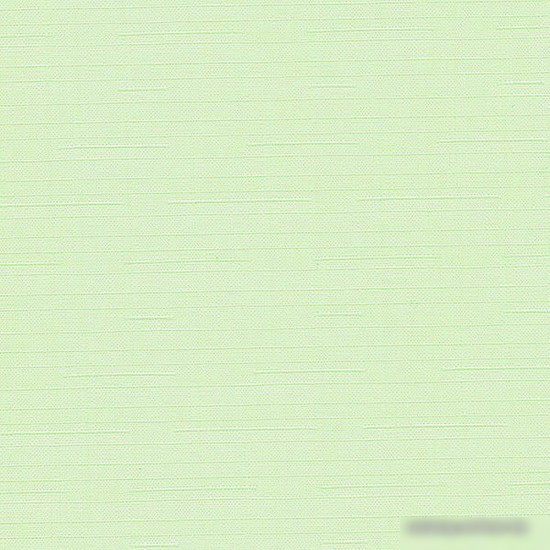 Рулонные шторы Эскар 52x170 (светло-зеленый)